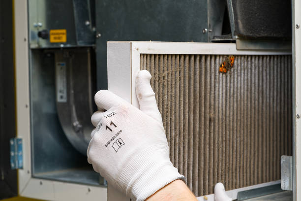 Best Home Air Vent Cleaning  in Ettrick, VA