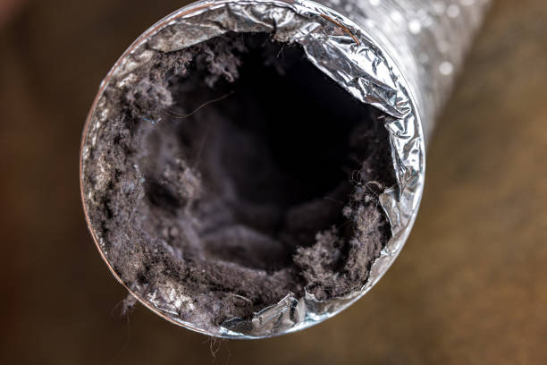 Best HVAC Maintenance and Cleaning  in Ettrick, VA